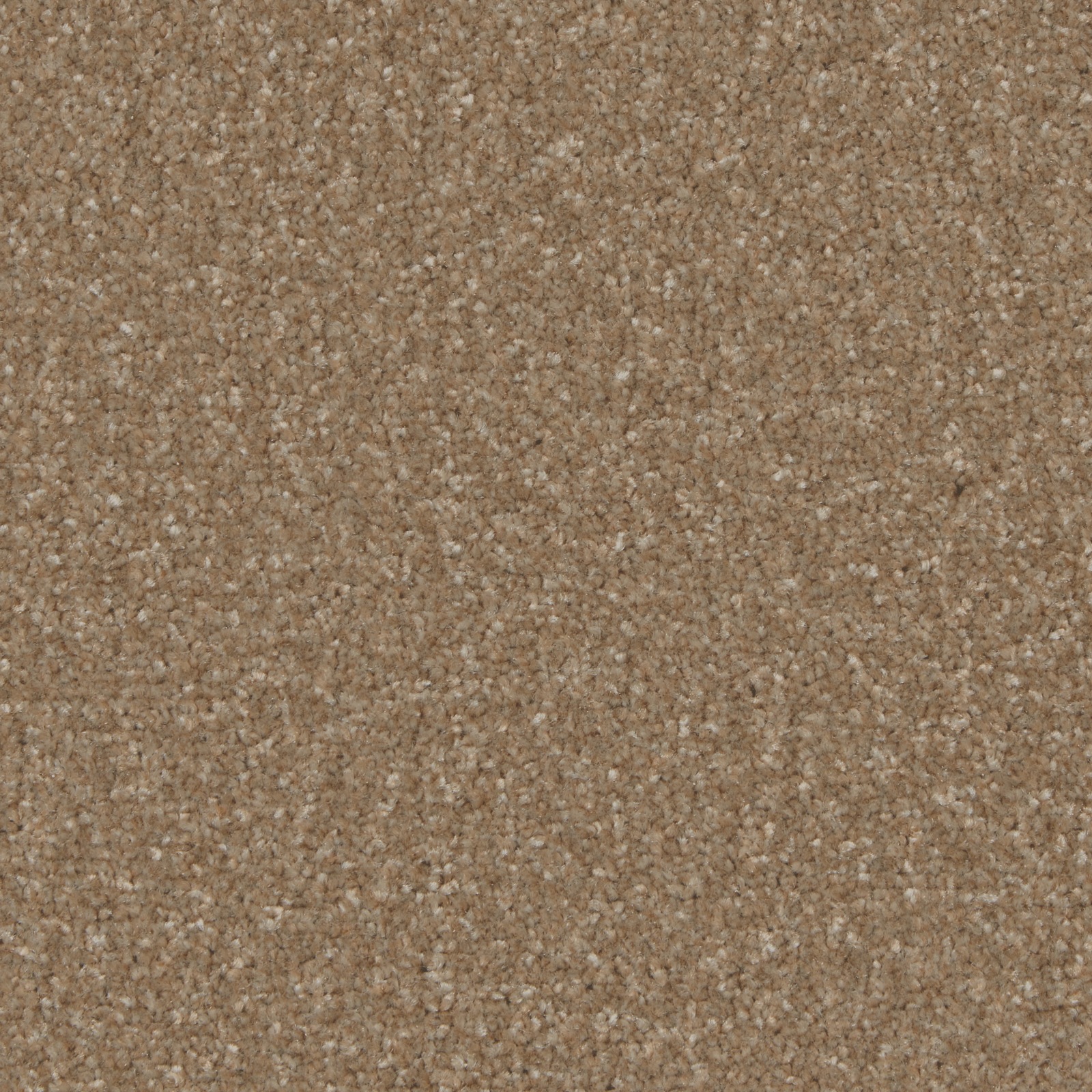 Cedar 4M (KING0013) STS Flooring