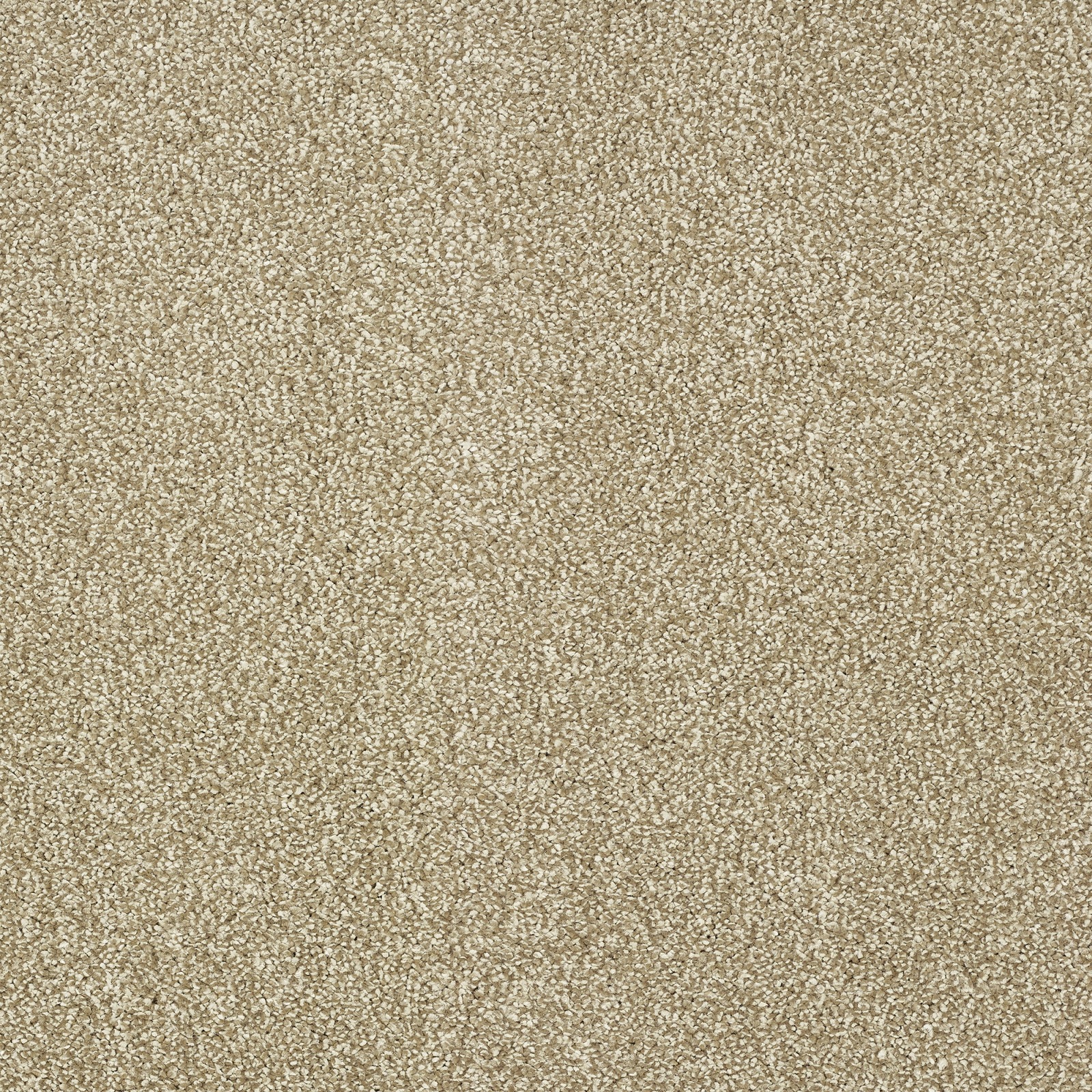 Desert Sands 4M (ARIS0005) STS Flooring