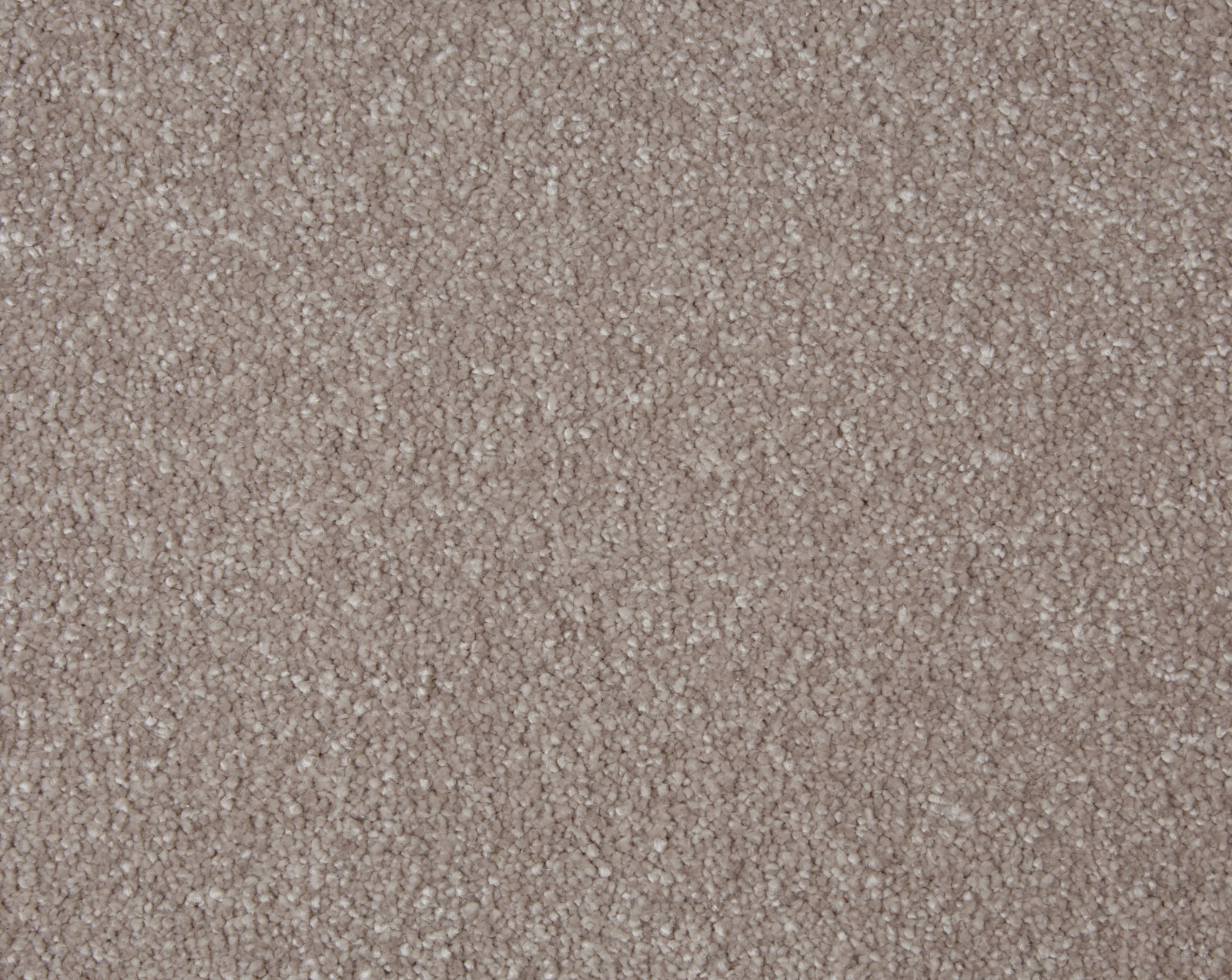 Dusky Rose 4M (SENC0020) STS Flooring