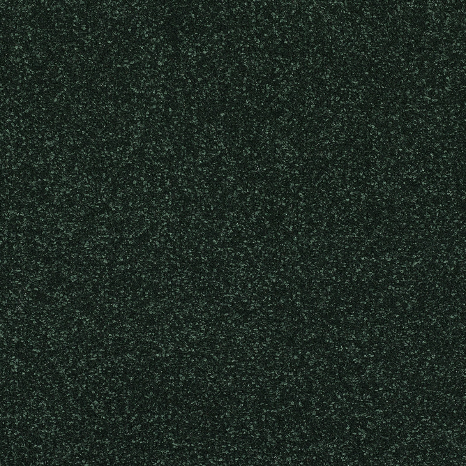 Fir Green 5M (FINE1003) STS Flooring