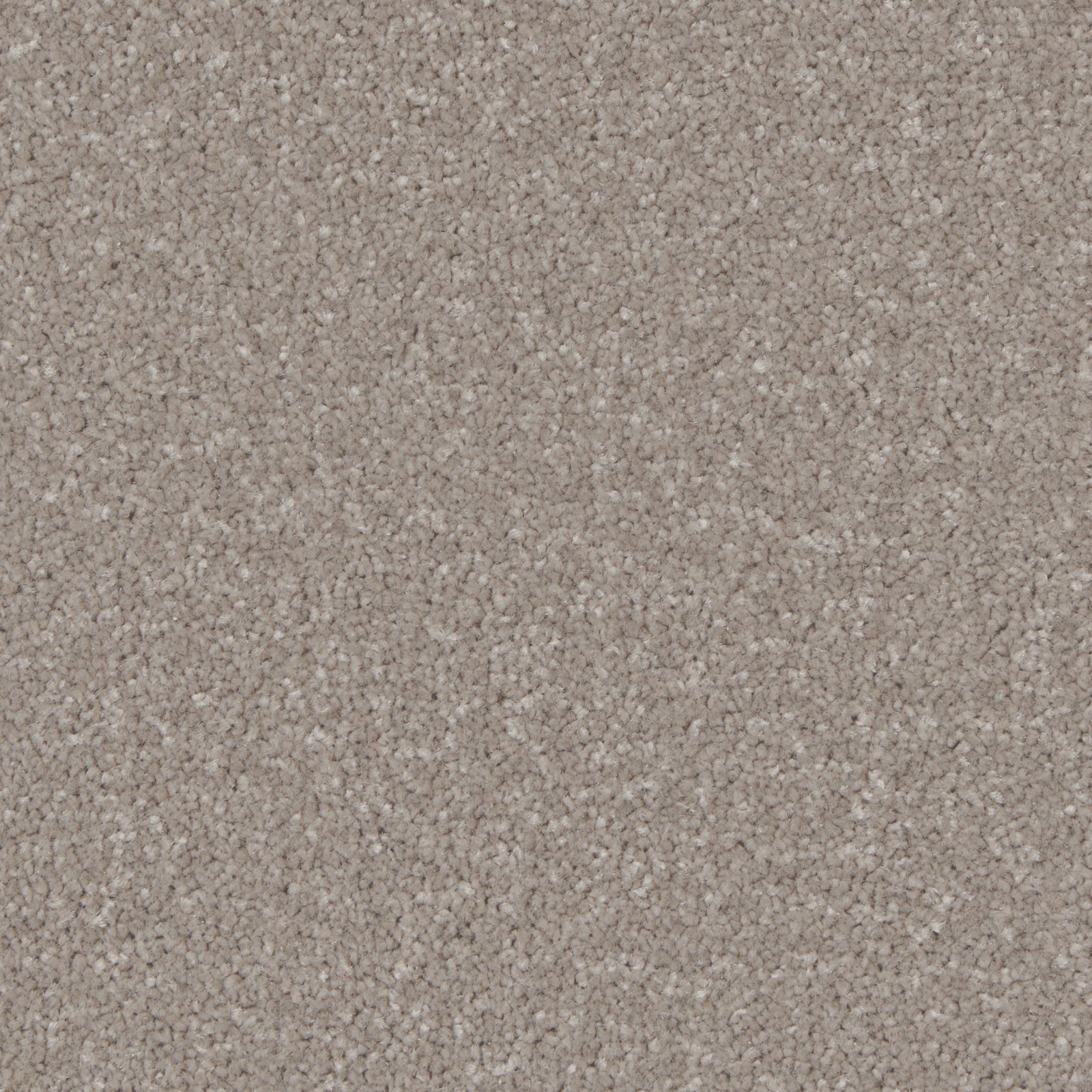 Mushroom 5M (KING1008) STS Flooring