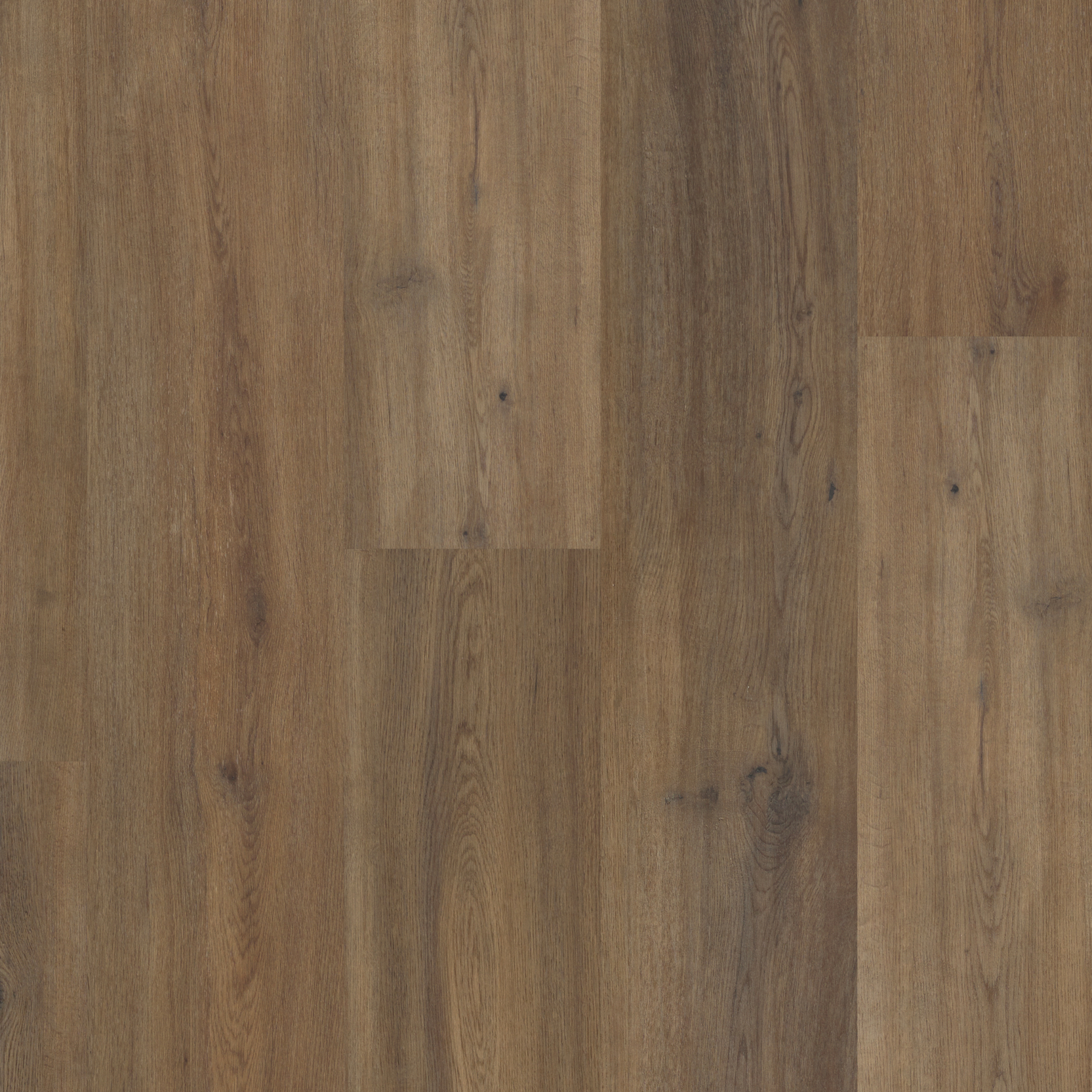 Astoria Oak (2259)