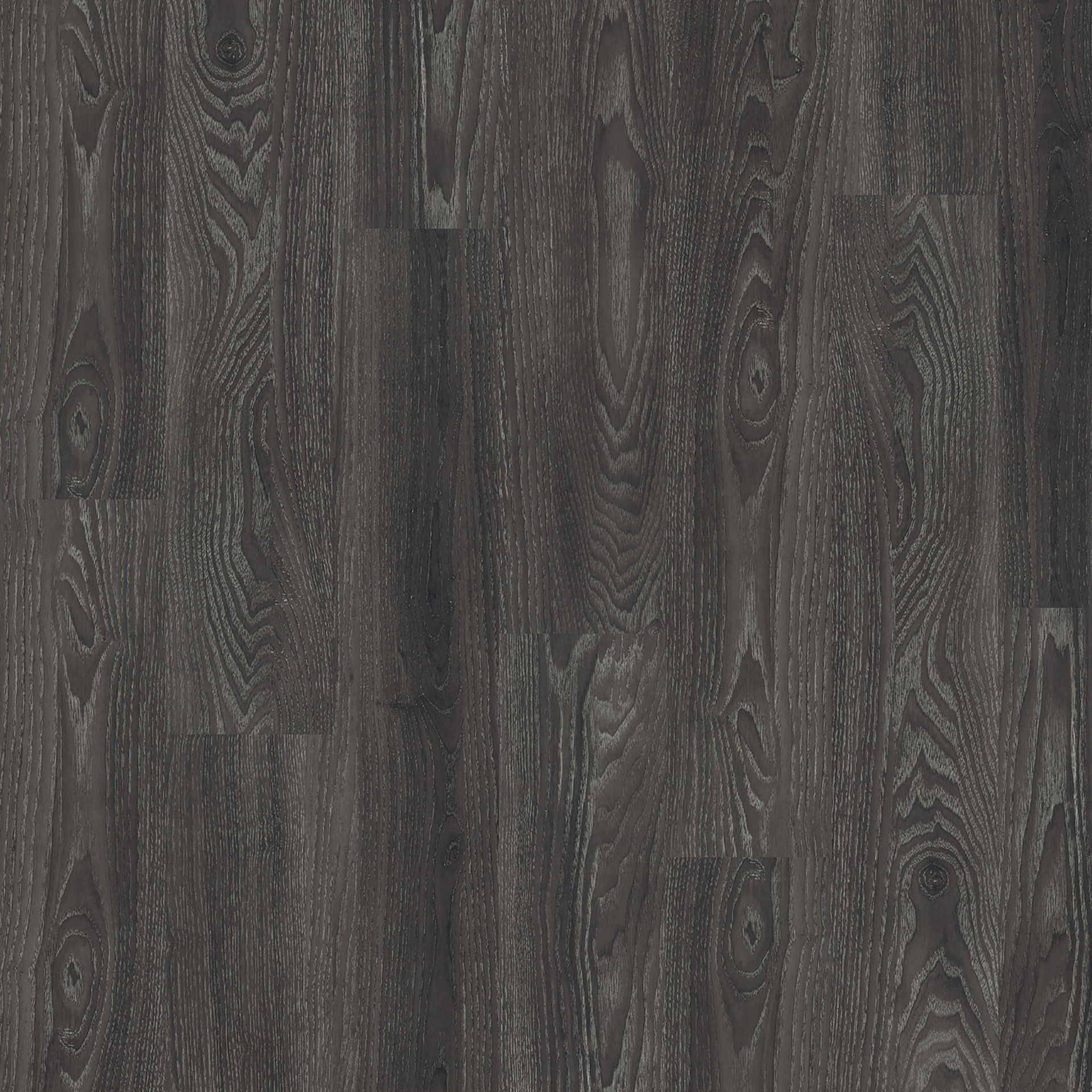 Black Elm (4035)