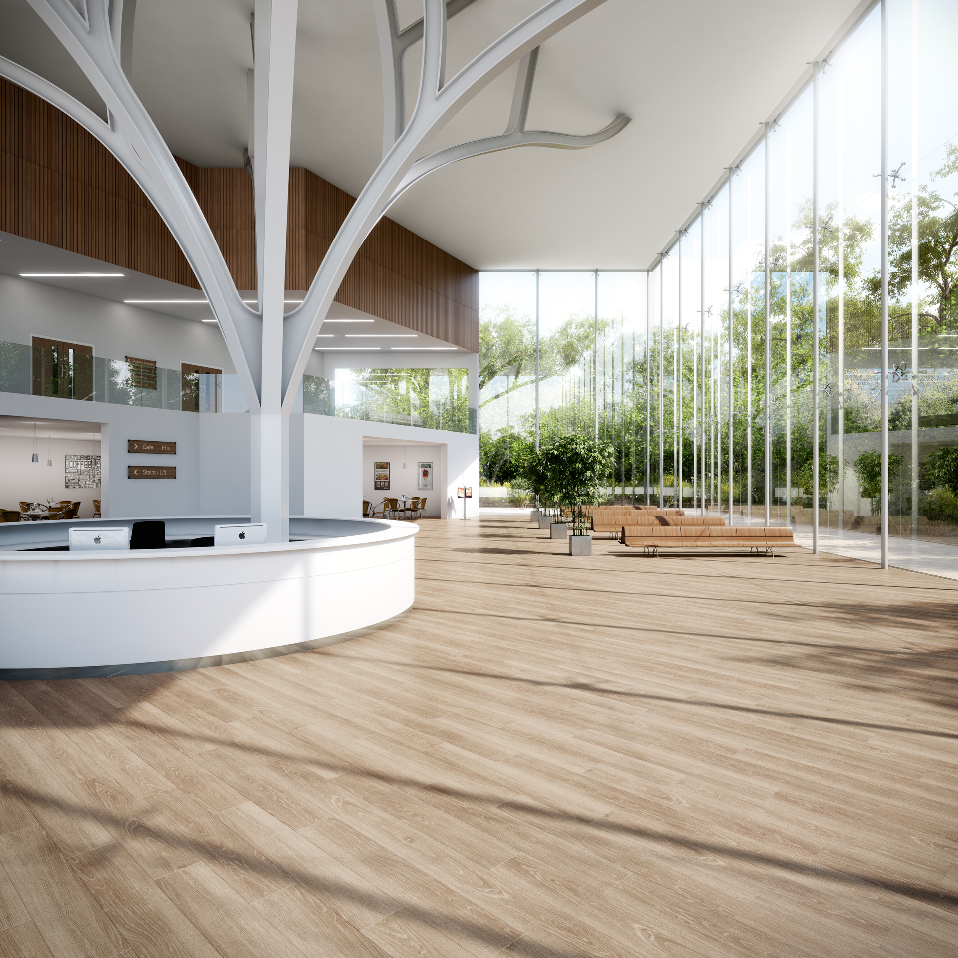 Blond Limed Oak (4081) - Image 2