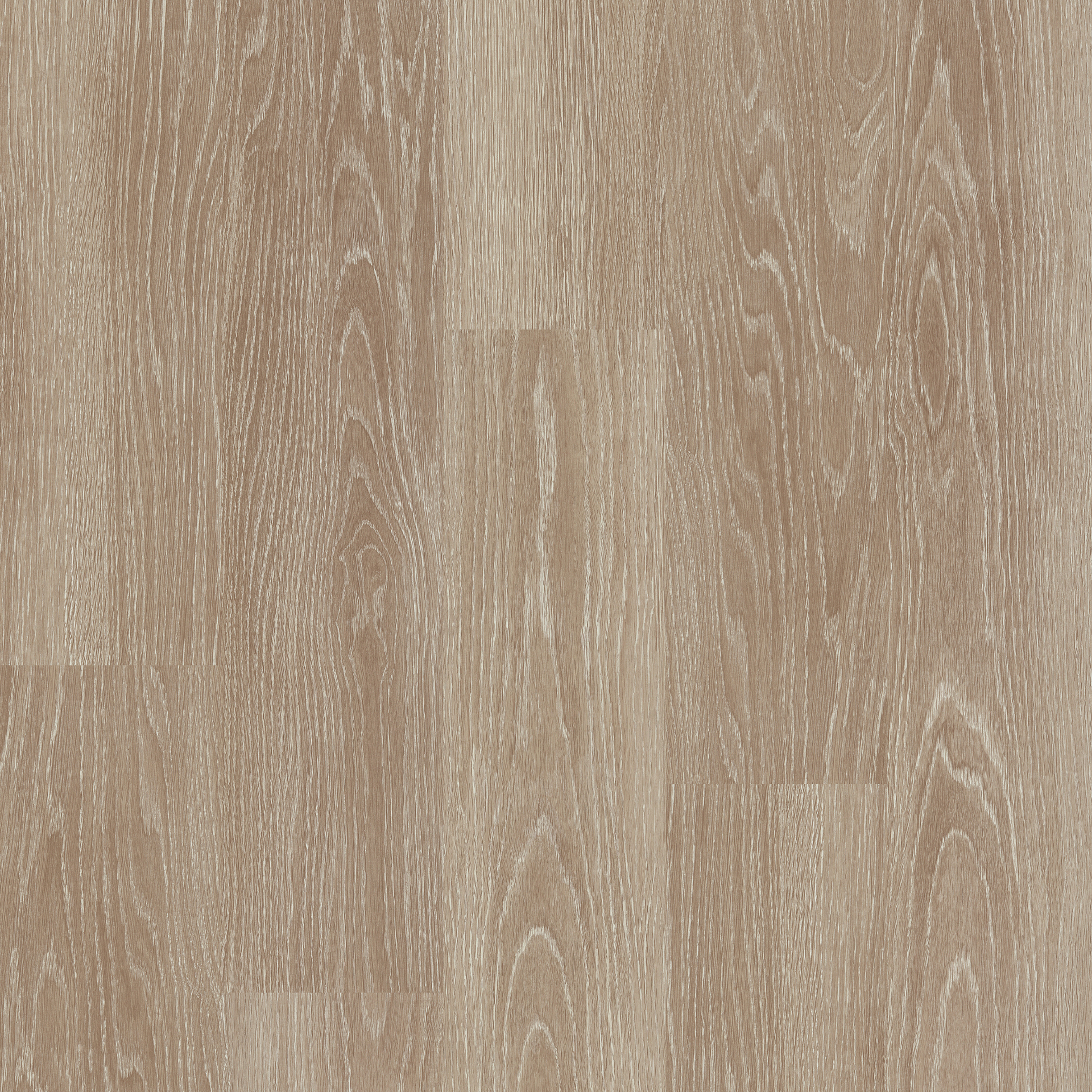 Blond Limed Oak (4081)