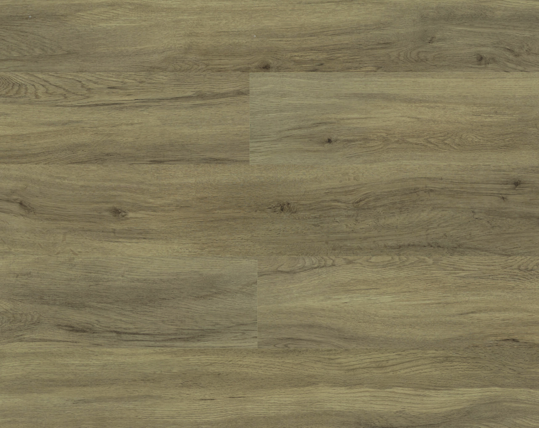 Coastal Driftwood (4453)