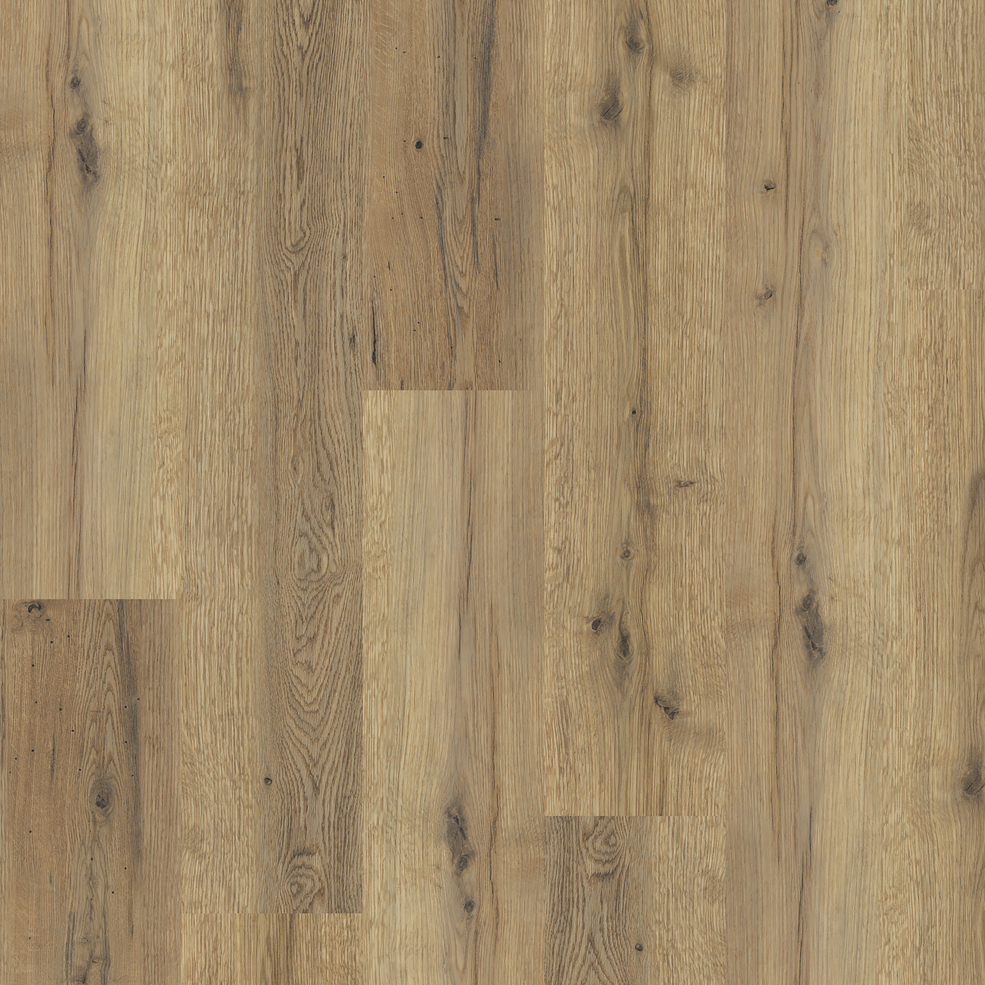 Everglade Oak (4101)