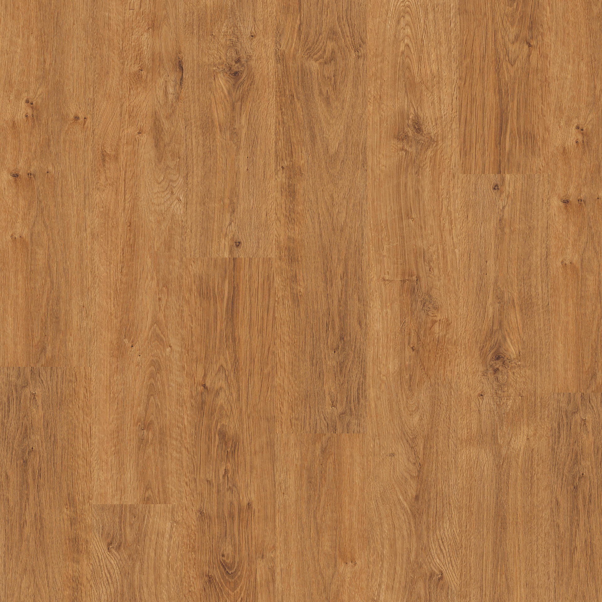 Honey Classic Oak (4086)