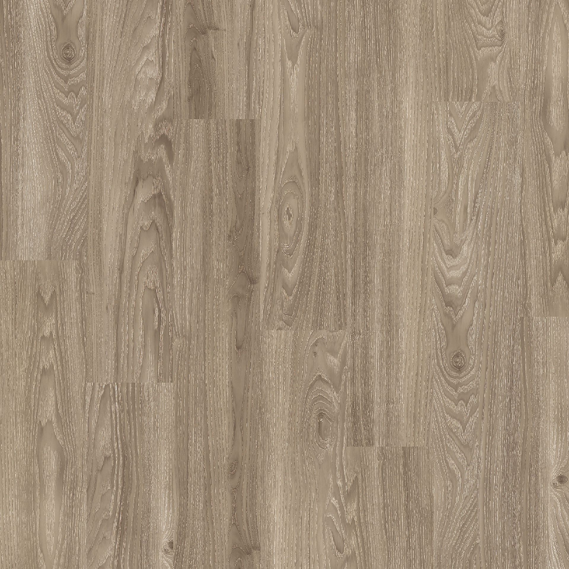 Light Elm (4034)