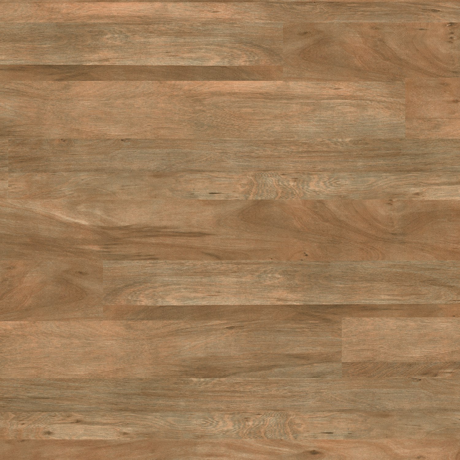 Mountain Alder (4401)