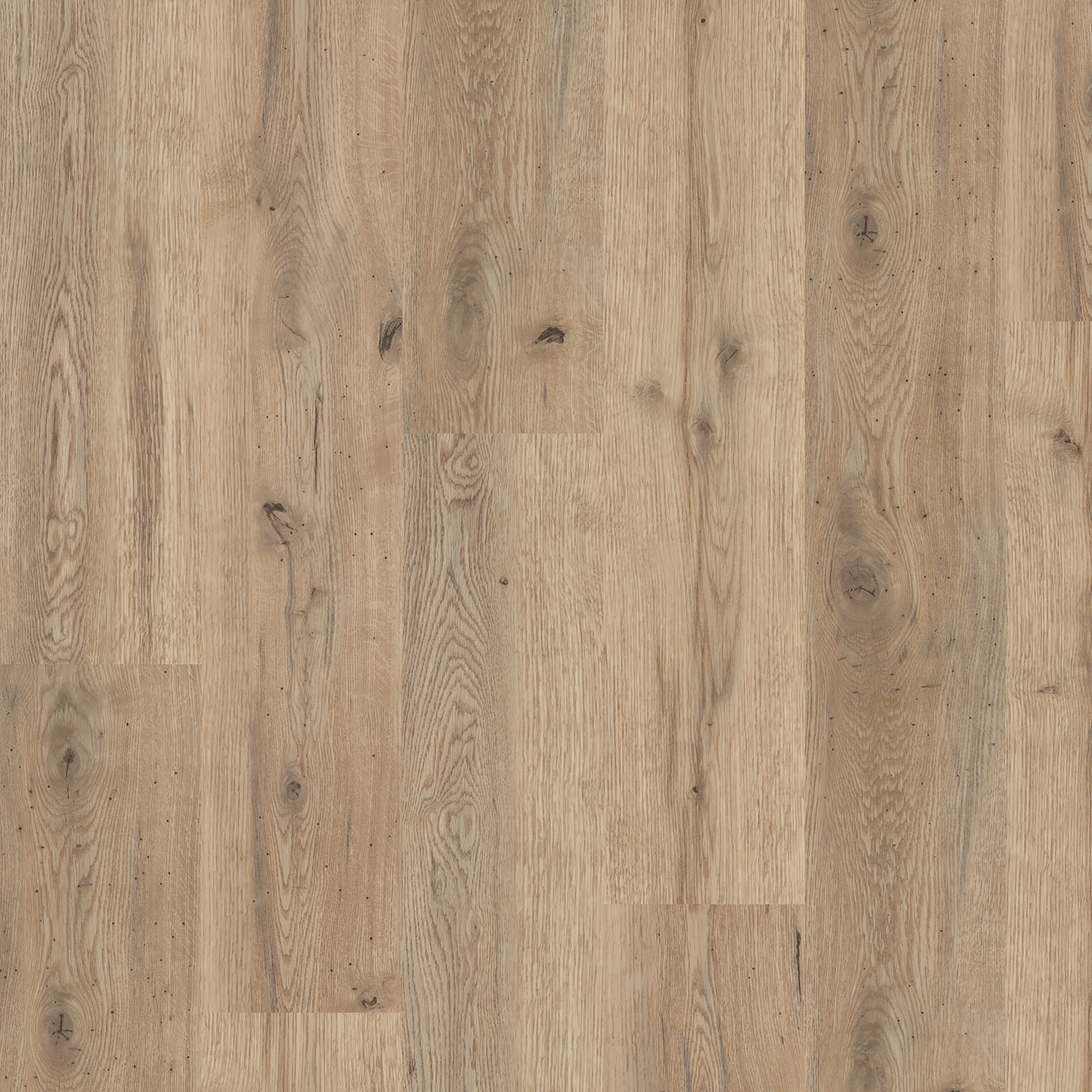 Oiled Oak (4098)