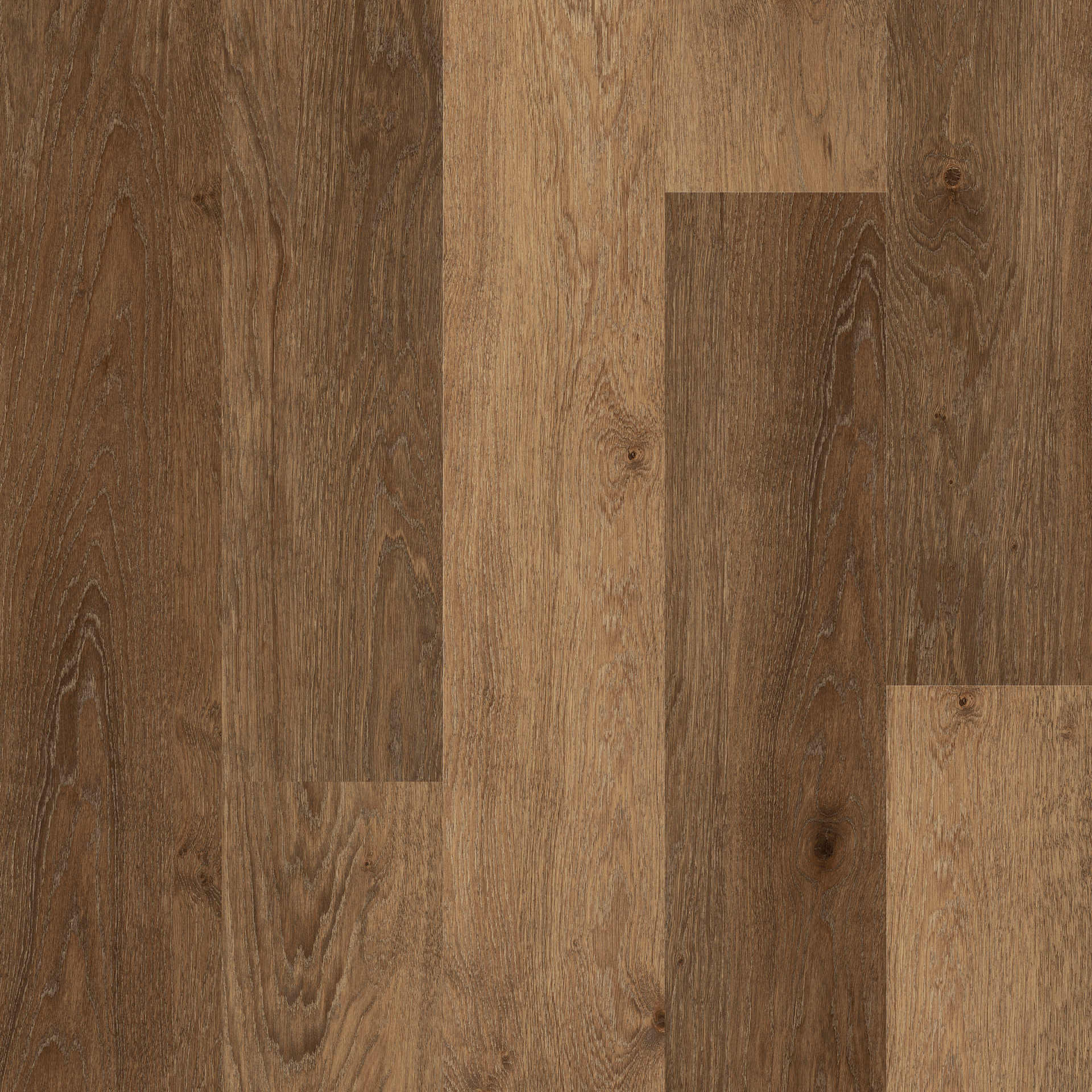 Provence Oak (4113)