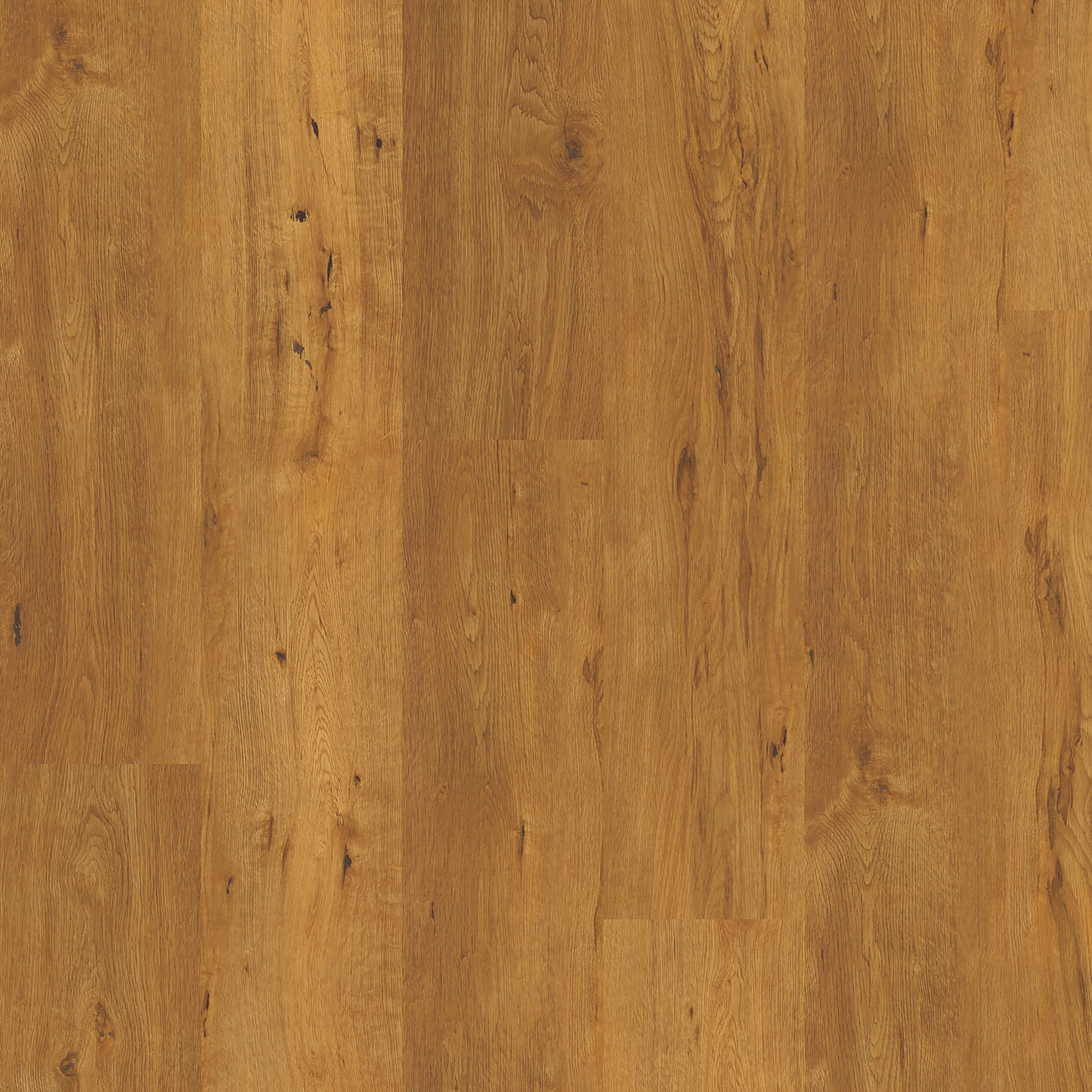 Saffron Oak (4057)