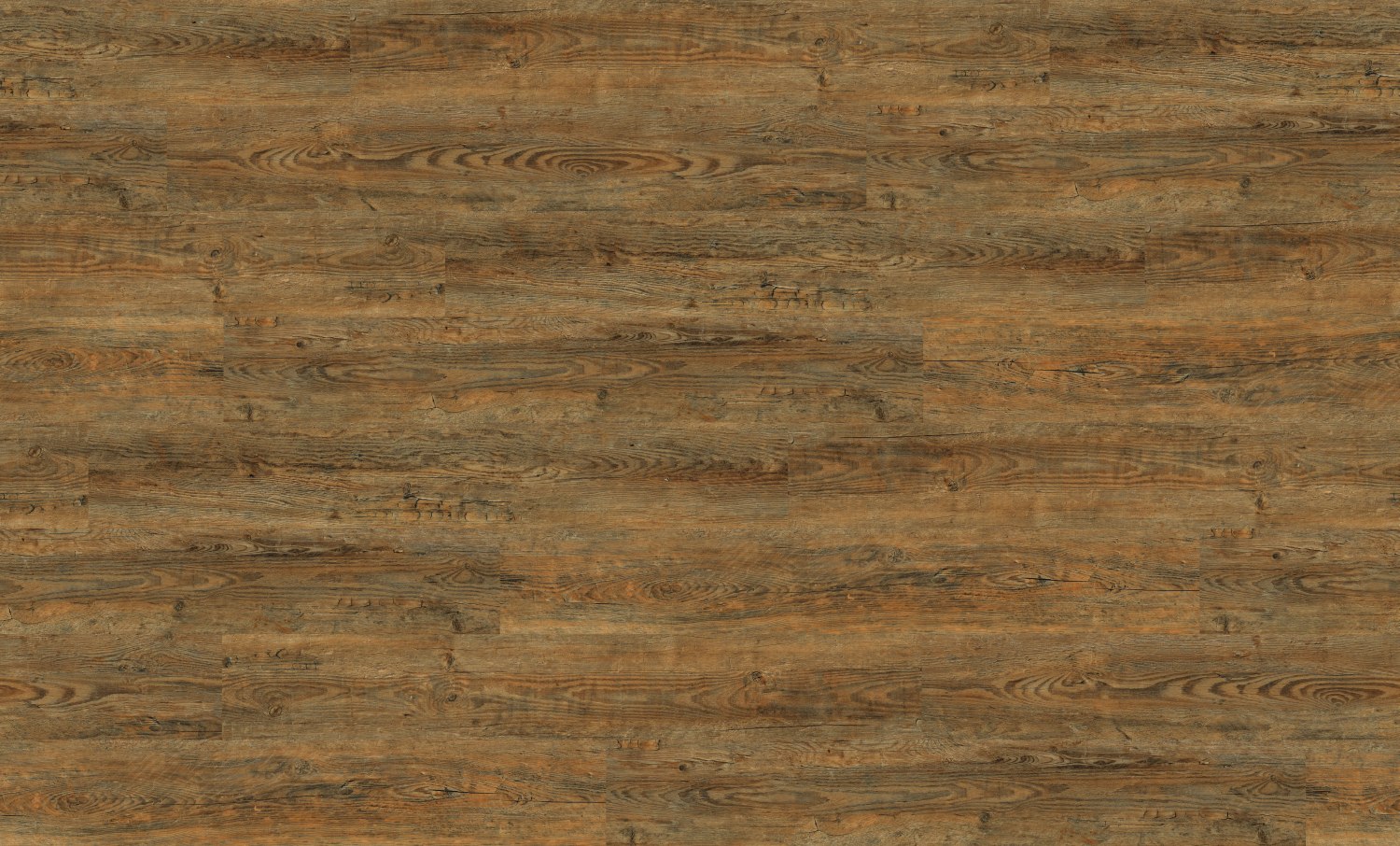 Wild Amber Oak (2249)