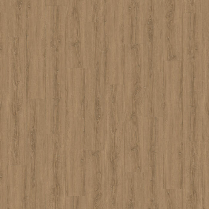 Tudor Oak (LIBE0050)