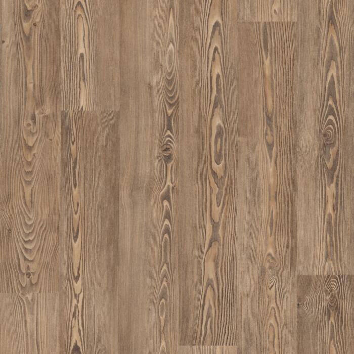 Tropical Pine 3376 (POLS8077)