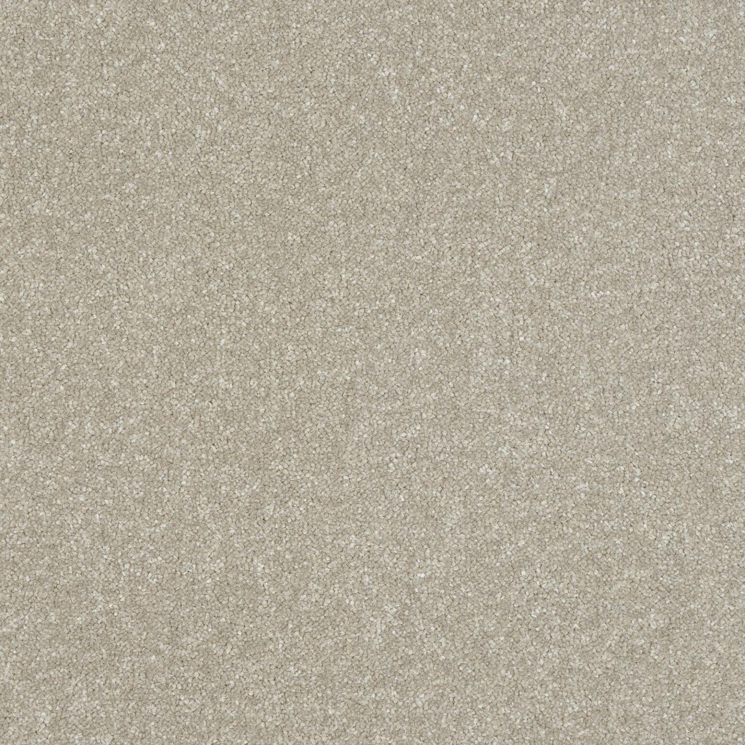 Parchment 5M (CASU1003) STS Flooring