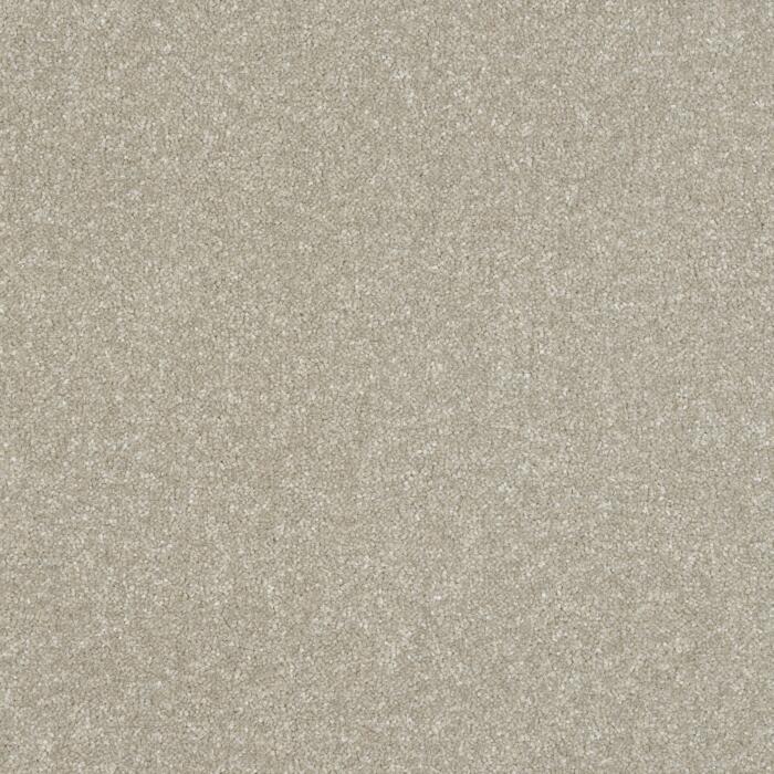 Parchment 4M (CASU0003)