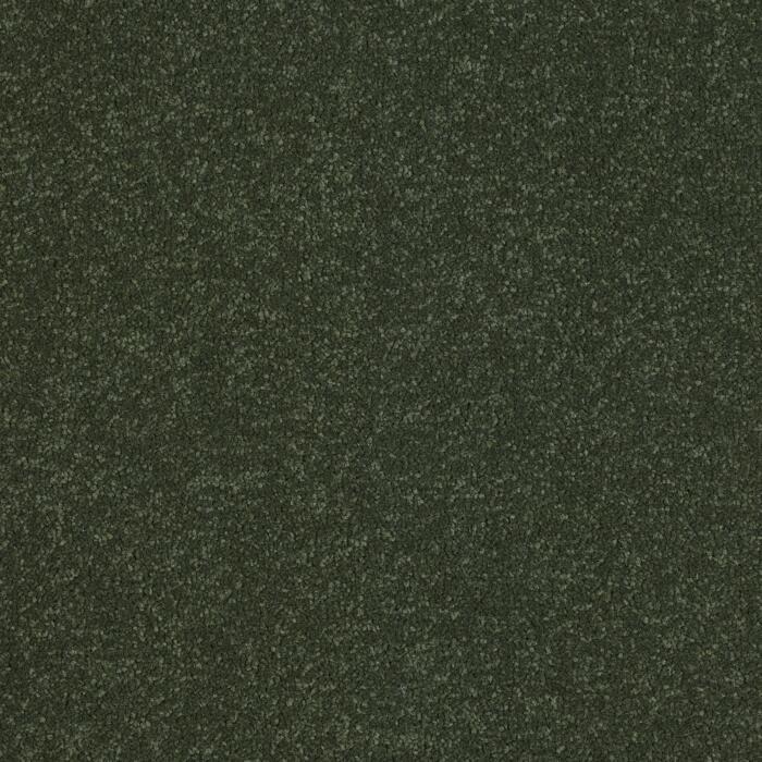 Moss 4M (CASU0021)