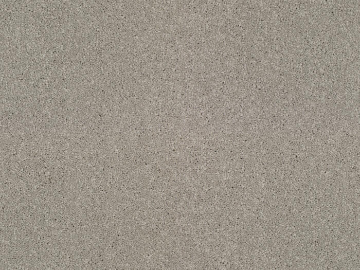 Paloma 862 4M (AYLE0011)