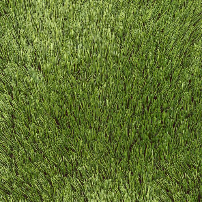 Moran 4M (CLAG0015)
