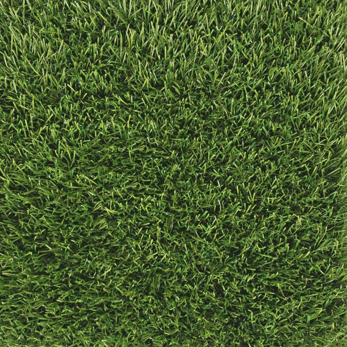 Multi-Line 2M (CLAG0014)