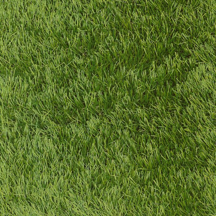 Velvet 4M (CLAG0011)