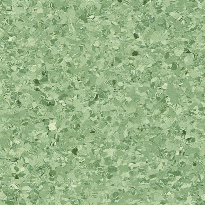 Asparagus (POLS0255)