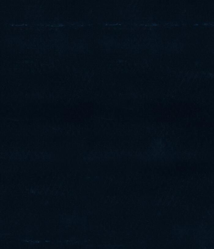 Black Tulip 300x300