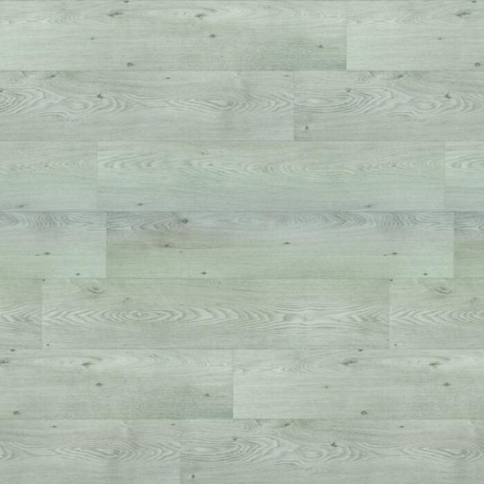 Blanched Oak (POLS0358)