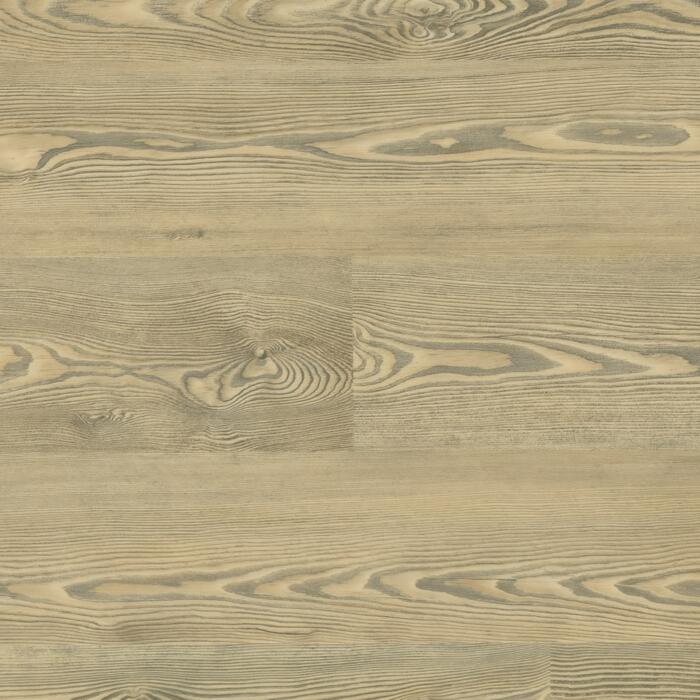 Blond Pine