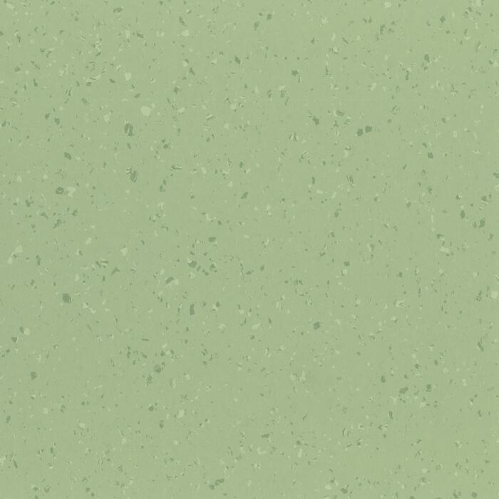 Crisp Apple (POLS5126)