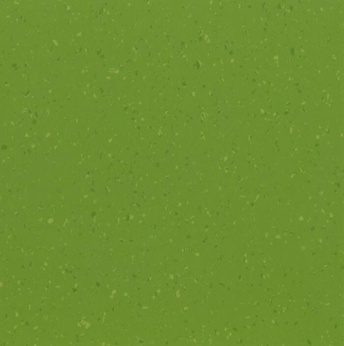English Garden (POLS5124)