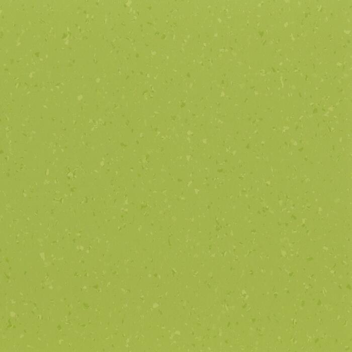 Sunshine Meadow
