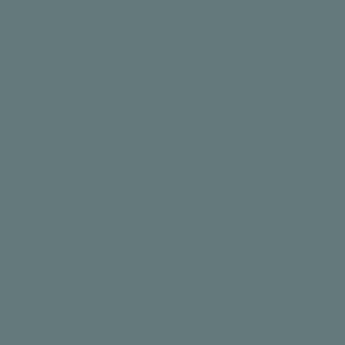 Urban Chic (POLS3503)