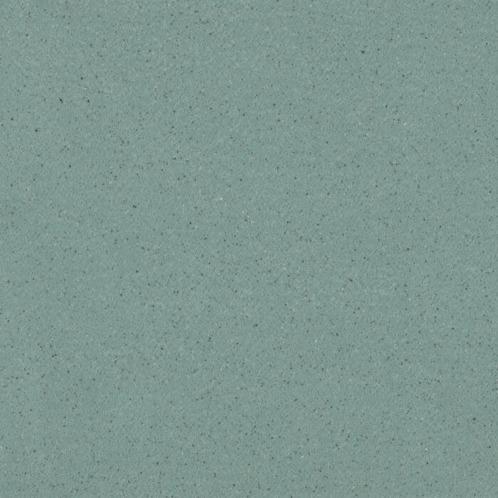Leaf 6589 (GERR1144)
