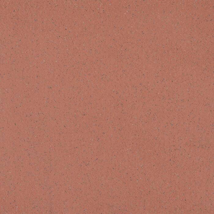 Paprika 8102 (GERR1145)