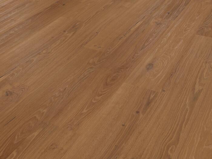 Bologna Oak (PALE0004) - Image 2