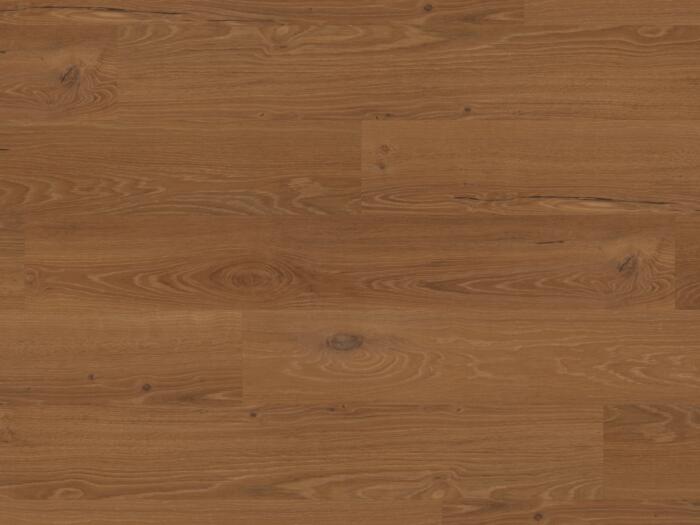 Bologna Oak (PALE0004)