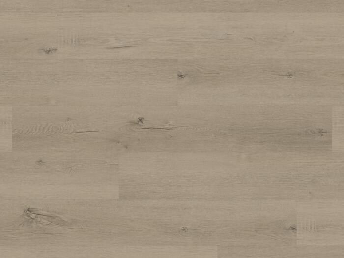 Elba Oak (PALE0010)