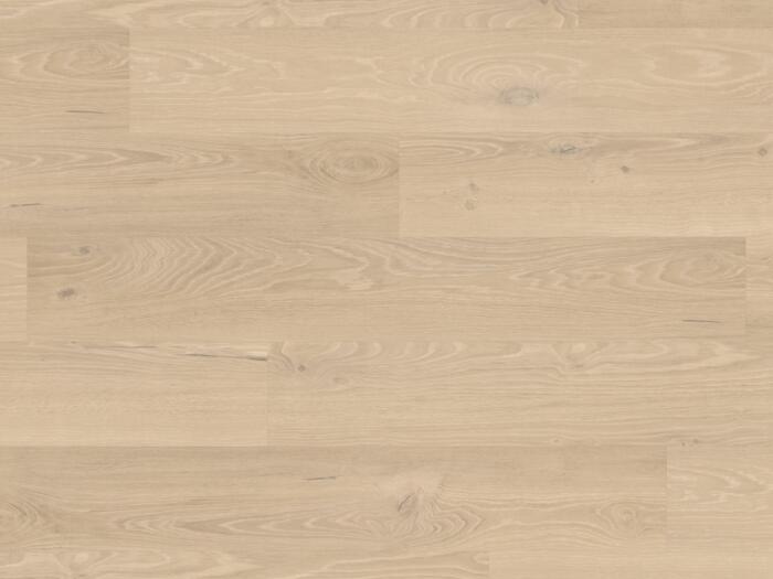 Florentine Oak (PALE0001)