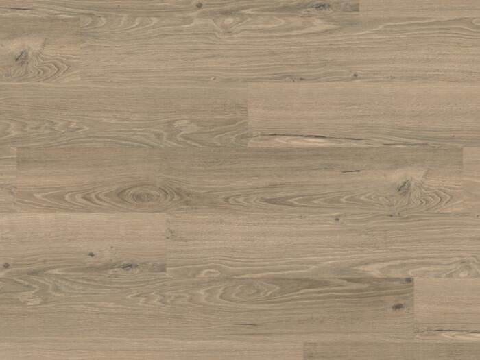 Ravenna Oak (PALE0003)