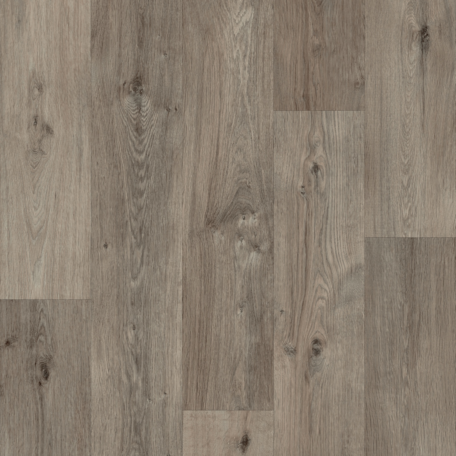 Marlborough Oak 2M (POLS2504)